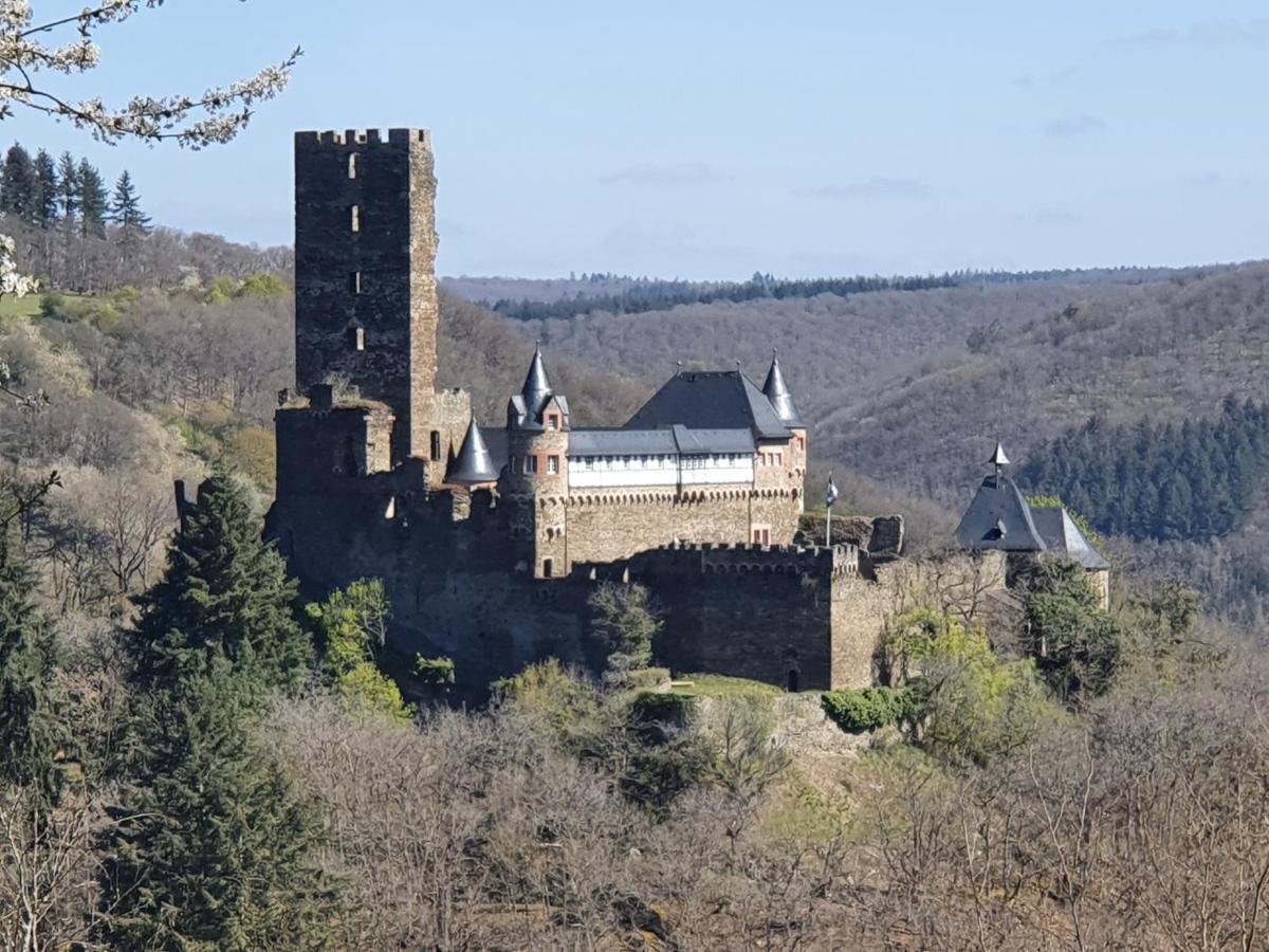 Appartamento Am Burggraben Auf Der Sauerburg Sauerthal Esterno foto